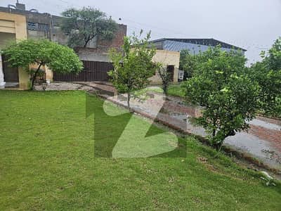 Factory for Sale