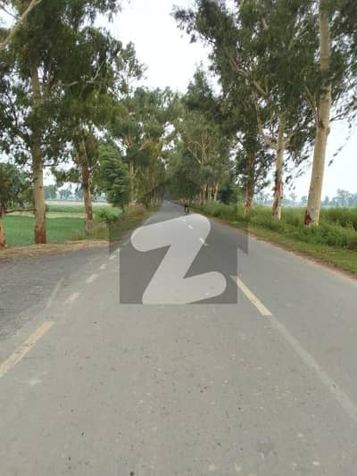 بیدیاں
