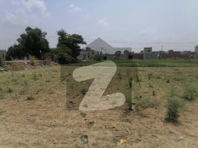 60 Kanal's Okara Chak 1/4L