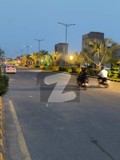 نیو