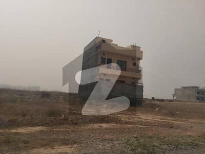 25x50