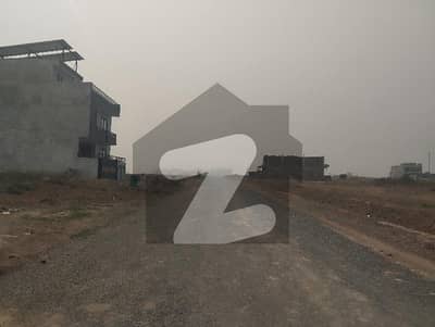 25x50
