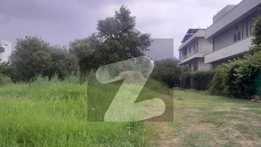 ڈی