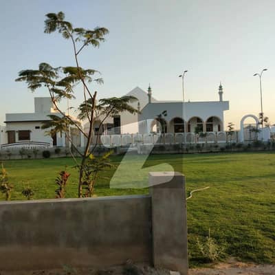 الجدید