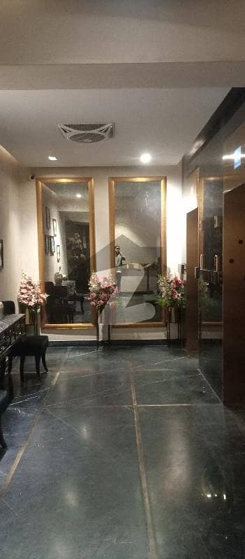 Brand New Luxury Apartment For Rent