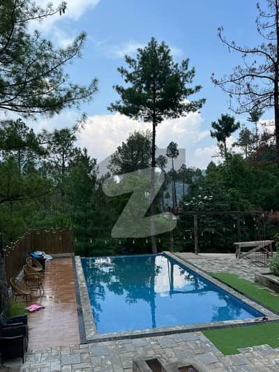 Radissin BLU Hotel And Resort Murree Villas And Cottages For Sale