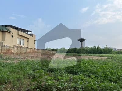 گلبرگ