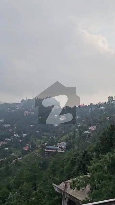 29 