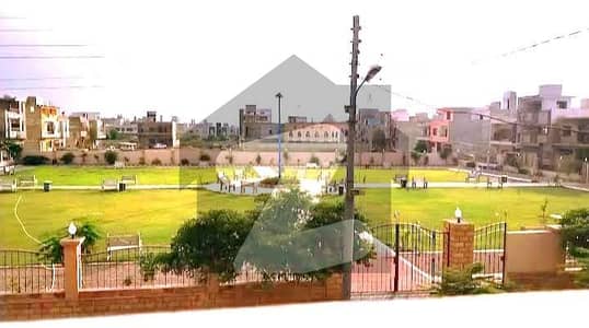 پیلی