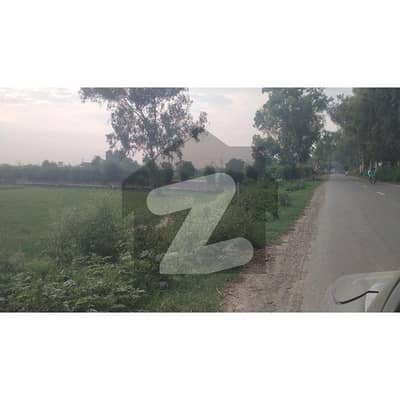 لی