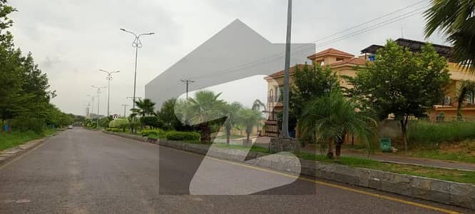 گندھارا