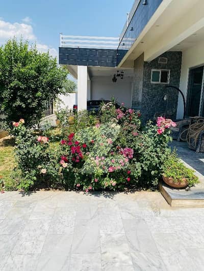 جی