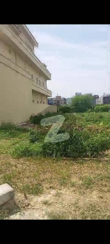 بی