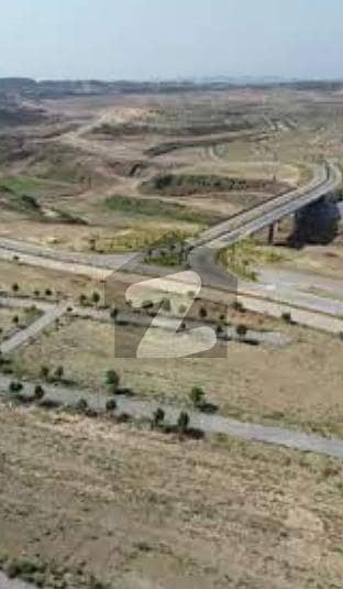 ڈی