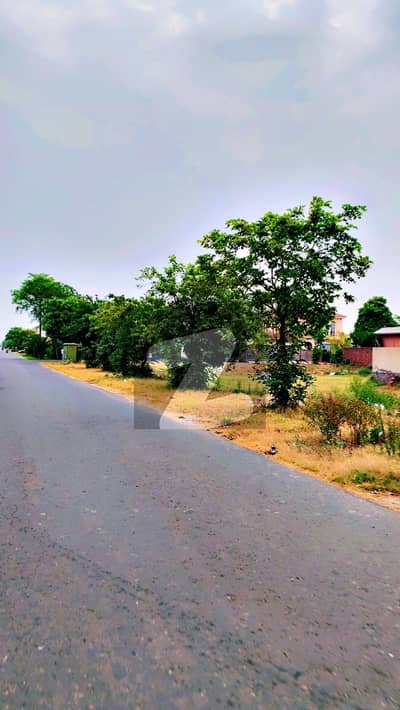 50 Marla Single Option Available In Phase 8 Block S Golden Number