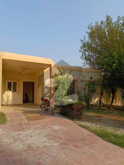 Safari Home Sector F And Sector C 5 Marla Single Storey Independent House For Rent In Beautiful Location Of Bahria Town Phase 8 Rawalpindi Islamabad