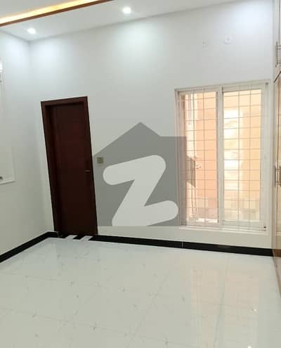 سادات