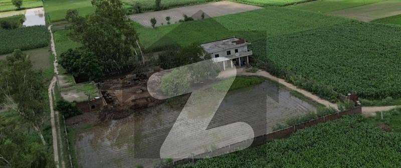 1 Acer Old Dairy Farm For Sale With Other Facilities in Moza Jahman zila Lahore 1 Acer Old Dairy Farm For Sale With Other Facilities in Moza Jahman zila Lahore