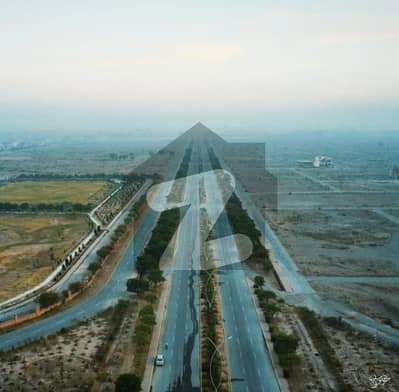 ریگی
