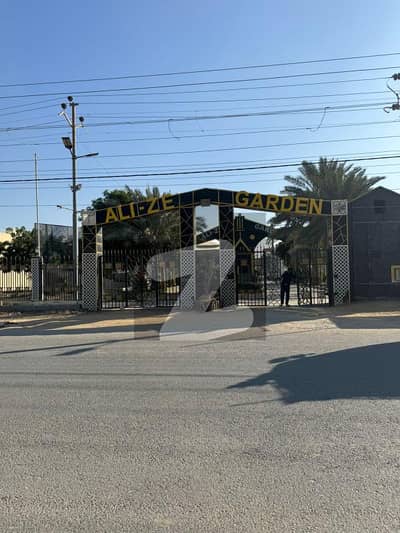 ایلیز