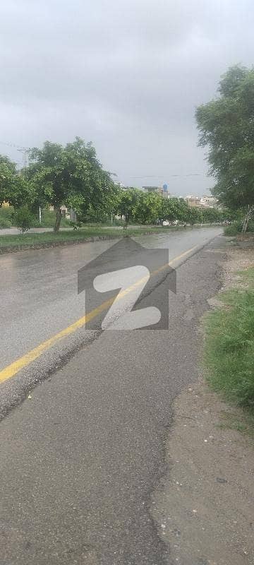 HOT LOCATION PLOT WITH DOUBLE RD ( SAMOSA PATTI) HOT LOCATION PLOT WITH DOUBLE RD ( SAMOSA PATTI)