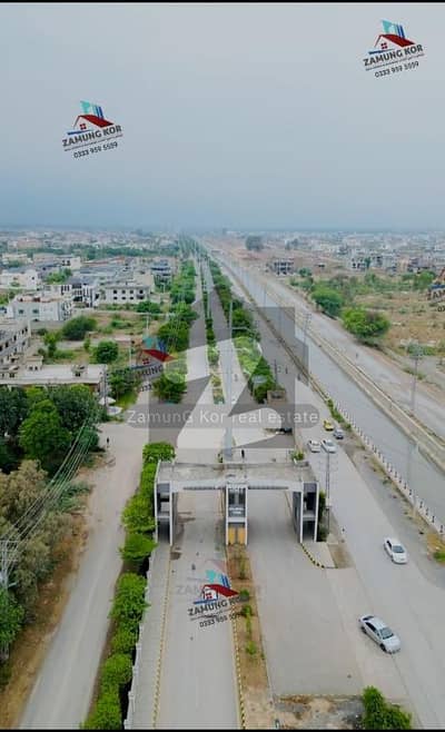 ریگی