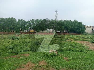 Affordable Commercial Plot For sale In Eden Residencia