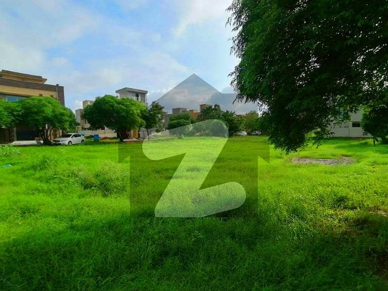 24 