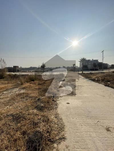 زمر