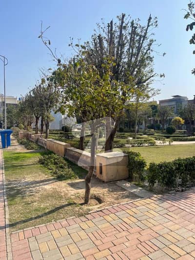 ڈریمز