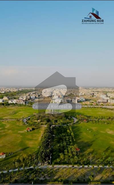 ریگی
