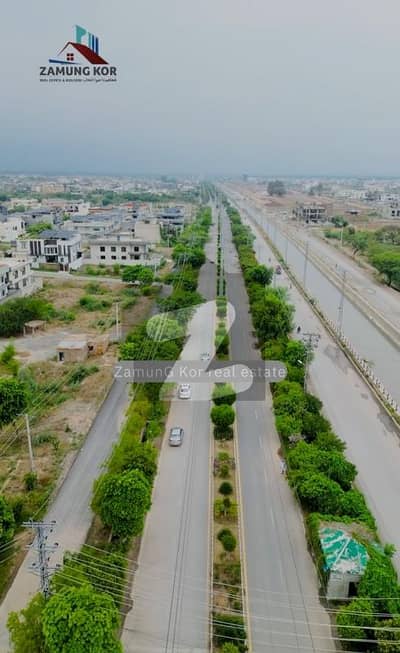ریگی