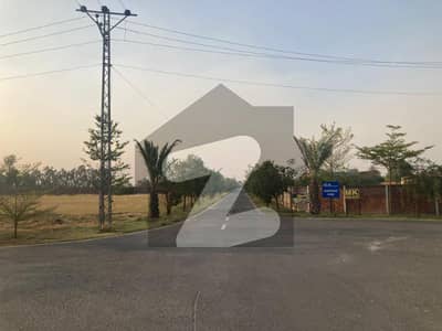 برکی