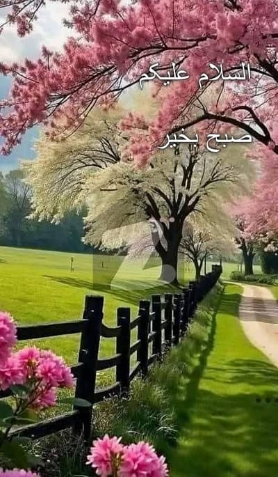 حیات آباد فیز 6 - ایف4 حیات آباد فیز 6,حیات آباد,پشاور میں 4 کمروں کا 1 کنال زیریں پورشن 95.0 ہزار میں کرایہ پر دستیاب ہے۔ حیات آباد فیز 6 - ایف4 حیات آباد فیز 6,حیات آباد,پشاور میں 4 کمروں کا 1 کنال زیریں پورشن 95.0 ہزار میں کرایہ پر دستیاب ہے۔