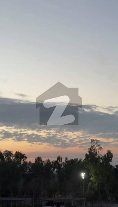 جناح