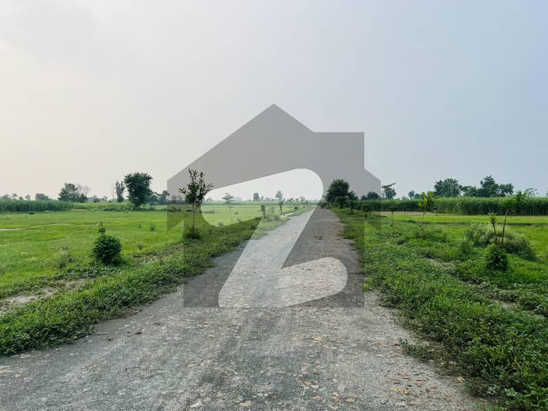 2 Kanal Farmhouse Land For Sale 2 Kanal Farmhouse Land For Sale