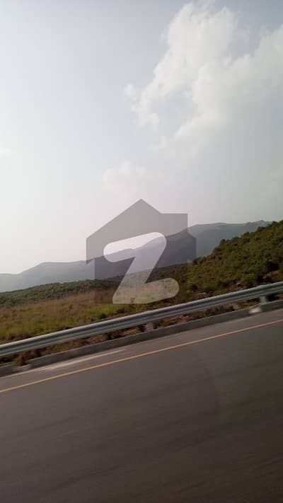 C14