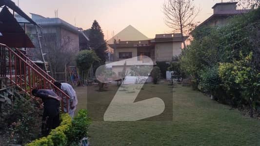 ایف