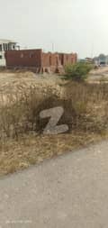20 