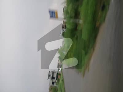 یونیورسٹی