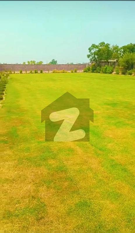 Farm House Of 71 Marla Available In Heir Farm House Of 71 Marla Available In Heir