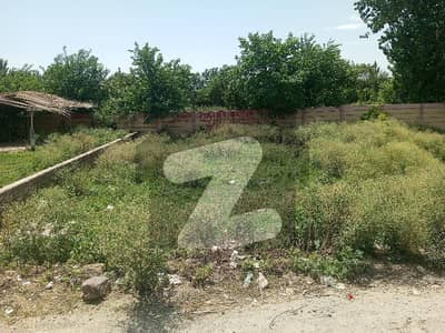 ڈلا زیک روڈ پشاور میں 10 مرلہ رہائشی پلاٹ 1.33 کروڑ میں برائے فروخت۔