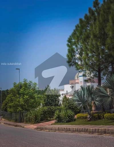 5 Marla Level Solid Plot Available For Sale Anchorage Block L