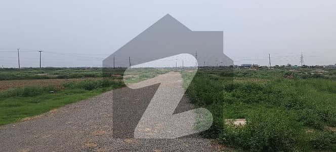 25x50