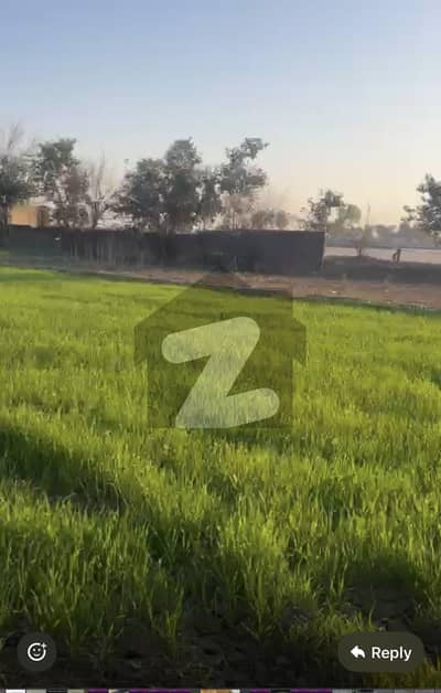 وزیر