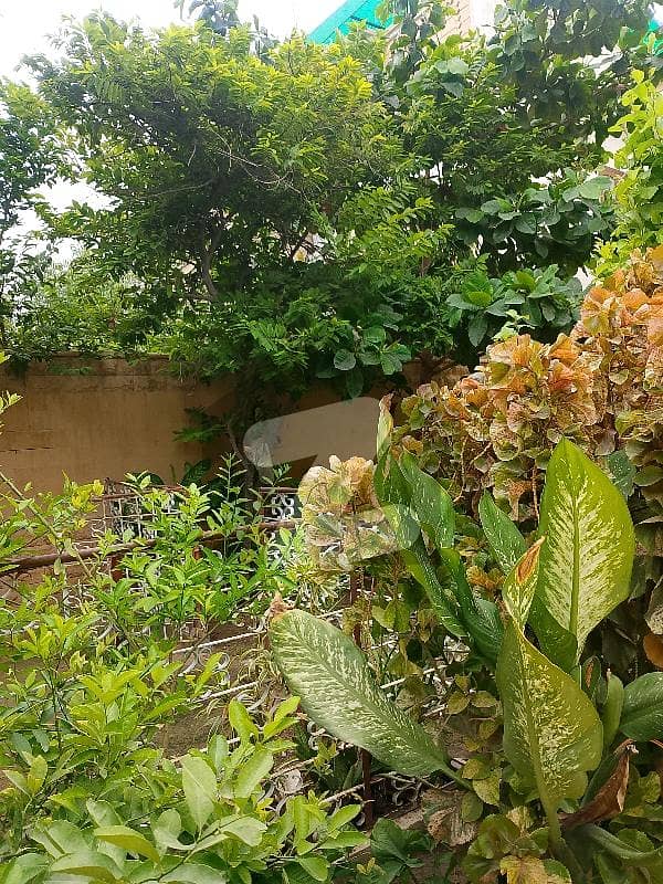 پی ای سی ایچ ایس بلاک 6 پی ای سی ایچ ایس,جمشید ٹاؤن,کراچی میں 7 کمروں کا 1 کنال مکان 10.0 کروڑ میں برائے فروخت۔ پی ای سی ایچ ایس بلاک 6 پی ای سی ایچ ایس,جمشید ٹاؤن,کراچی میں 7 کمروں کا 1 کنال مکان 10.0 کروڑ میں برائے فروخت۔