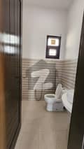 41 
