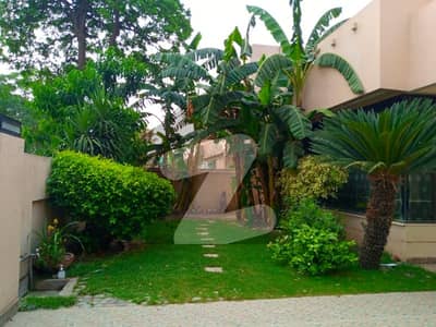 One kanal Beautiful House Is Available For Rent In DHA