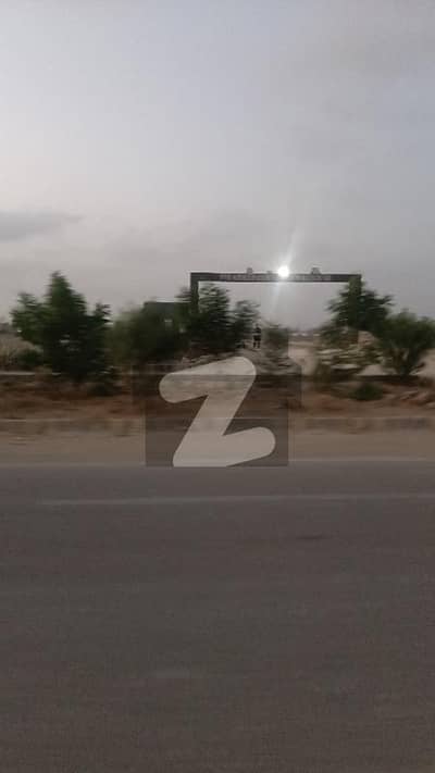 پیر