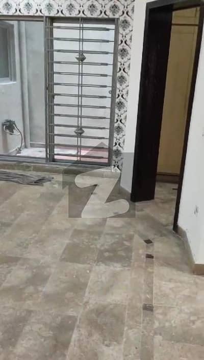 پیراگون